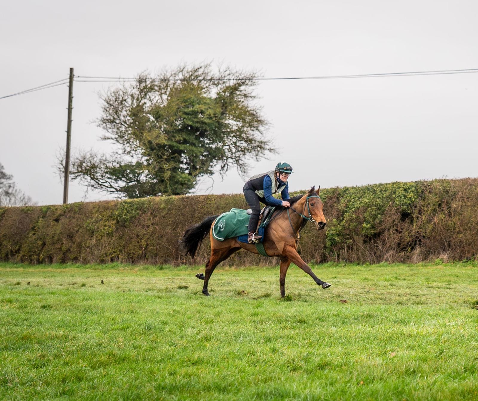 Rider and horse cantering across open countryside