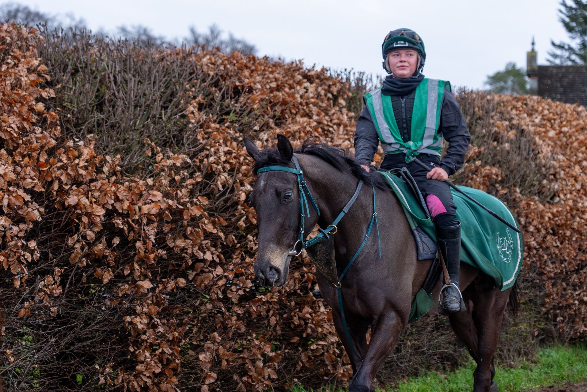 Horse and rider on the road in Gee Gees Racing colours