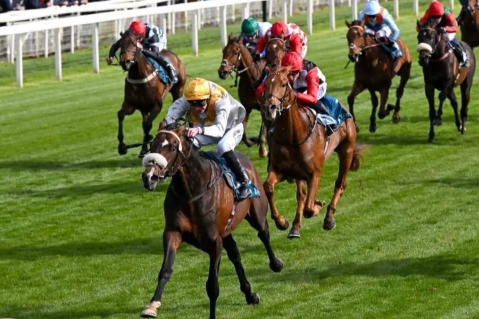 Gee Gees Racing owners at the races