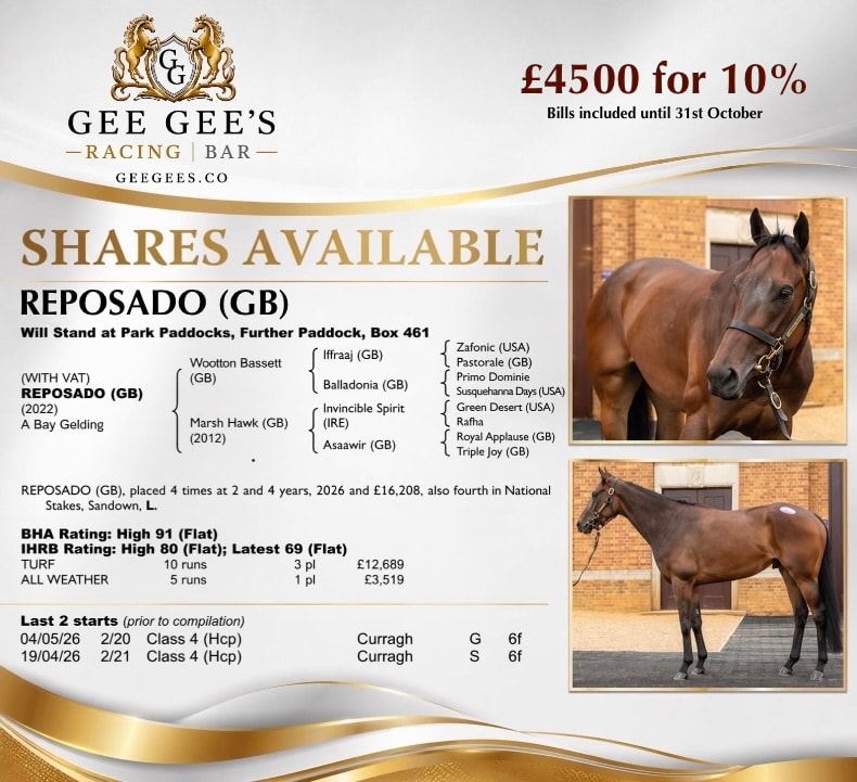 REPOSADO available shares
