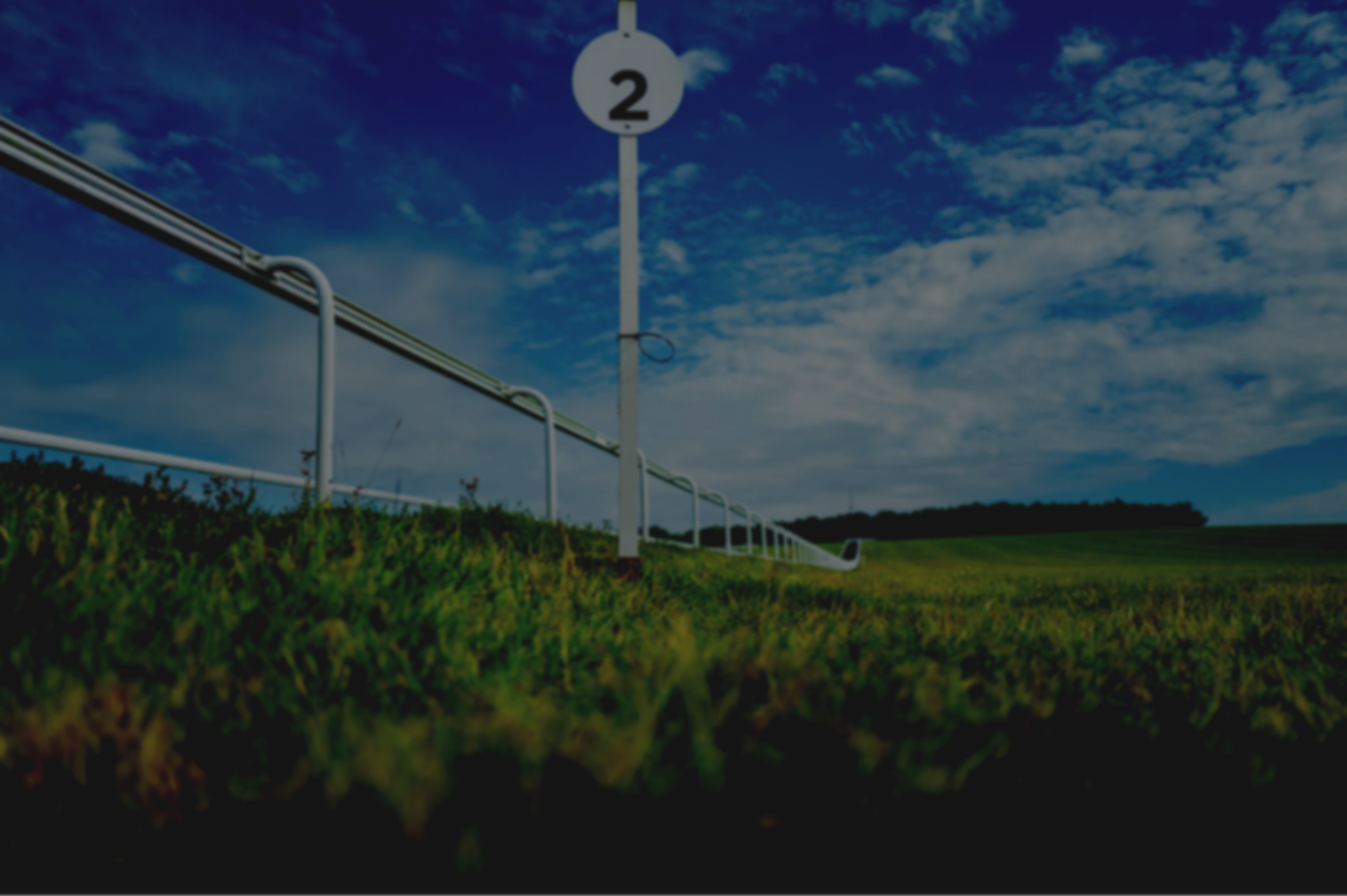 Gee Gees Racing ownership experience